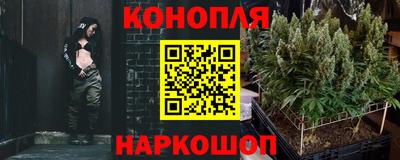 Альфа ПВП Кунгур
